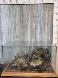 3 Big Reproduction Crappie Table Top Pedestal Fish Taxidermy