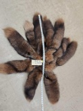 10 Jumbo Ranch Fox Tails Taxidermy