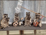 Raccoon Playing Guitar Taxidermy