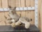 Alaskan Lynx Full Body Taxidermy Mount