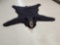 NICE Black Bear Rug Taxidermy
