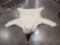 Giant Polar Bear Rug Taxidermy