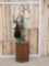 Dual African Blesbok Pedestal Taxidermy Mount