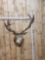 Big Red Stag Shoulder Mount Taxidermy
