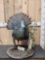 Oscellated Turkey Full Body Bird Taxidermy