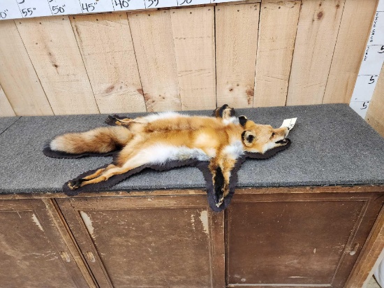 Red Fox Rug Taxidermy