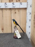 Golden Breasted Starling Full Body Bird Taxidermy