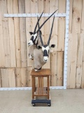 Awesome Dual Gemsbok Taxidermy Pedestal Mount