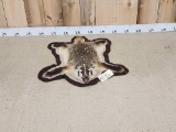 Badger Rug Taxidermy