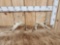 Set Of Double Droptine Whitetail Shed Antlers