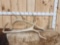 Set Of Elk Antler Cut Offs