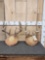2 Sets Of Whitetail Antlers On Plaques