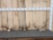 3 Sets Of Whitetail Antlers On Skull Plate