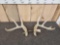4x5 Whitetail Shed Antlers