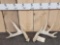 4x5 Whitetail Shed Antlers