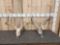2 Sets Of Whitetail Antlers On Skulls