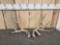 5x5 Mule Deer Shed Antlers
