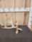 5 Point Whitetail Shed Antler