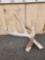 5 Point Whitetail Shed Antler