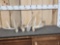 Group Of 3 Big Preserve Whitetail Shed Antlers