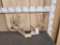 True Double Main Beam Whitetail Antlers On Skull Plate