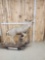 Mule Deer Full Body Taxidermy Mount