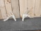 Set Of 164 4/8