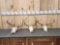 3 Sets Of Whitetail Antlers On Skull