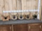 5 Sets Of Whitetail Antlers On Plaques