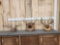 3 Sets Of Whitetail Antlers On Plaques