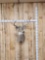 Main Frame 6x5 Whitetail Shoulder Mount Taxidermy