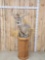 5x5 Whitetail Pedestal Taxidermy Mount