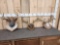 3 Sets Of Whitetail Antlers On Plaques
