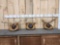 3 Sets Of Whitetail Antlers On Plaques