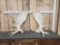 Matched Set Of Alaskan Moose Antlers