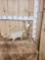 6.6 Lbs Self Standing Moose Shed Antler