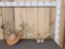 2 Sets Of Whitetail Antlers On Skull Plate & Plaque