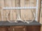 Set Of Alaskan Caribou Antlers