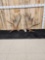 22 Lbs Set Of Alaskan Moose Shed Antlers