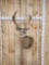 Gnarly Nontypical Whitetail Shoulder Mount Taxidermy