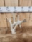 Gnarly Main Frame 5 Point Whitetail Shed Antler