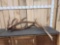 Pair Of Cut Off Elk Antlers 25.6 Lbs