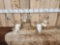 2 Sets Of Whitetail Antlers On Skulls