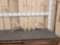 Set Of Heavy Mass Whitetail Shed Antlers