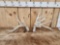 Set Of Heavy Mass Whitetail Shed Antlers