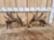 Set Of Heavy Mass Palmated Whitetail Shed Antlers