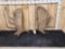 Set Of 29.6 Lbs Alaskan Moose Shed Antlers