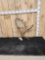 12 Lbs Alaskan Moose Shed Antler