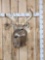 12 Point Whitetail Shoulder Mount Taxidermy