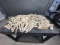 38.6 Lbs Of Whitetail Deer Antler Tines